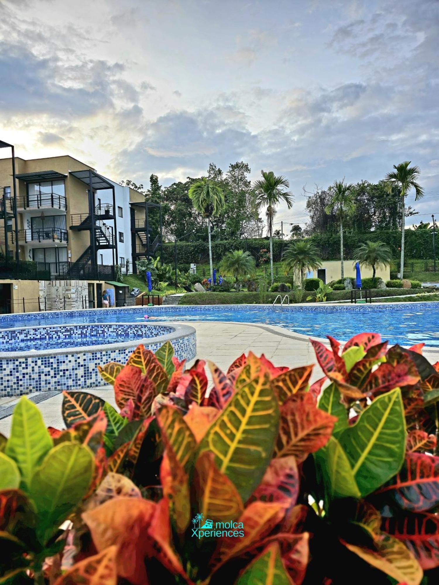 Apartamento Privado Vacacional A 5M Del Aeropuerto, 20 Minutos Del Parque Del Cafe Y Centro De Armenia Con 4 Piscinas, 3 Jacuzzi, Sauna By Molca Xperiences 3H Ngoại thất bức ảnh