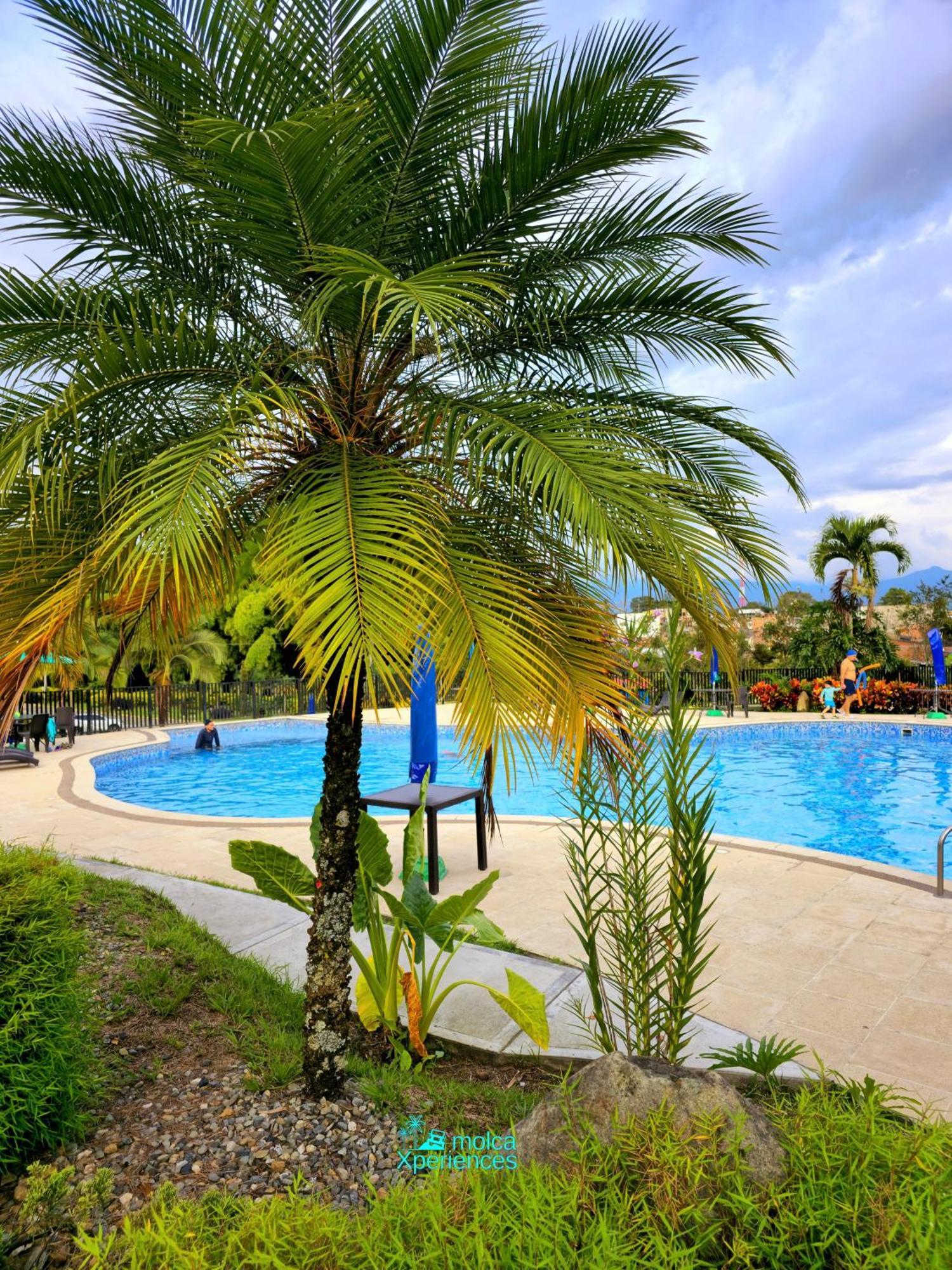 Apartamento Privado Vacacional A 5M Del Aeropuerto, 20 Minutos Del Parque Del Cafe Y Centro De Armenia Con 4 Piscinas, 3 Jacuzzi, Sauna By Molca Xperiences 3H Ngoại thất bức ảnh